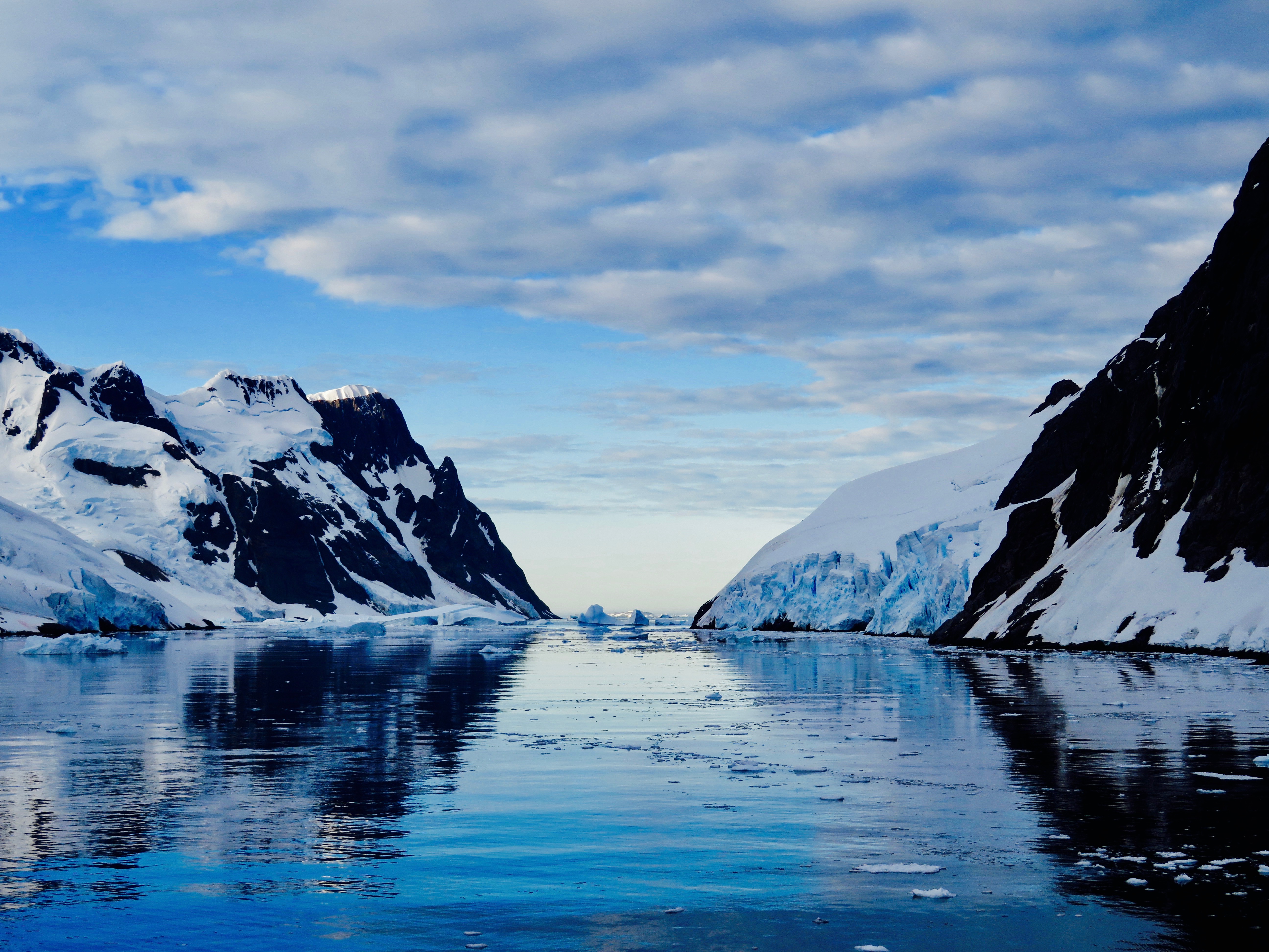 旅の途中に寄ってみた 南極の魅力と費用 行き方まとめ 世界一周の教科書 セカパカ バックパッカーの旅 旅行のバイブル